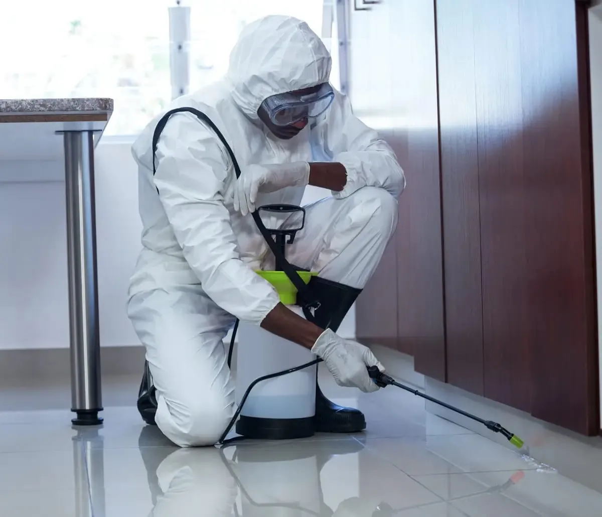 VunjaBei technician spraying a room during fumigation